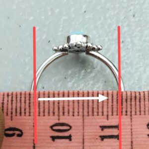 Cara mengukur diameter dalam lubang cincin
